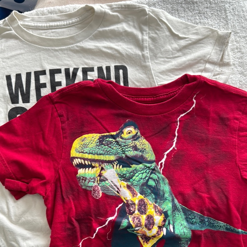 Graphic Dinosaur and Weekend T-Shirts